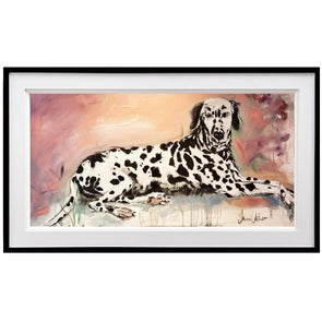 Day Dreaming Dalmation