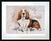 Soulful Gaze of the Basset Hound - Ltd Edition Print