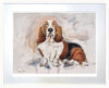 Soulful Gaze of the Basset Hound - Ltd Edition Print