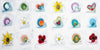 Snail Friends - Limited Edition Print